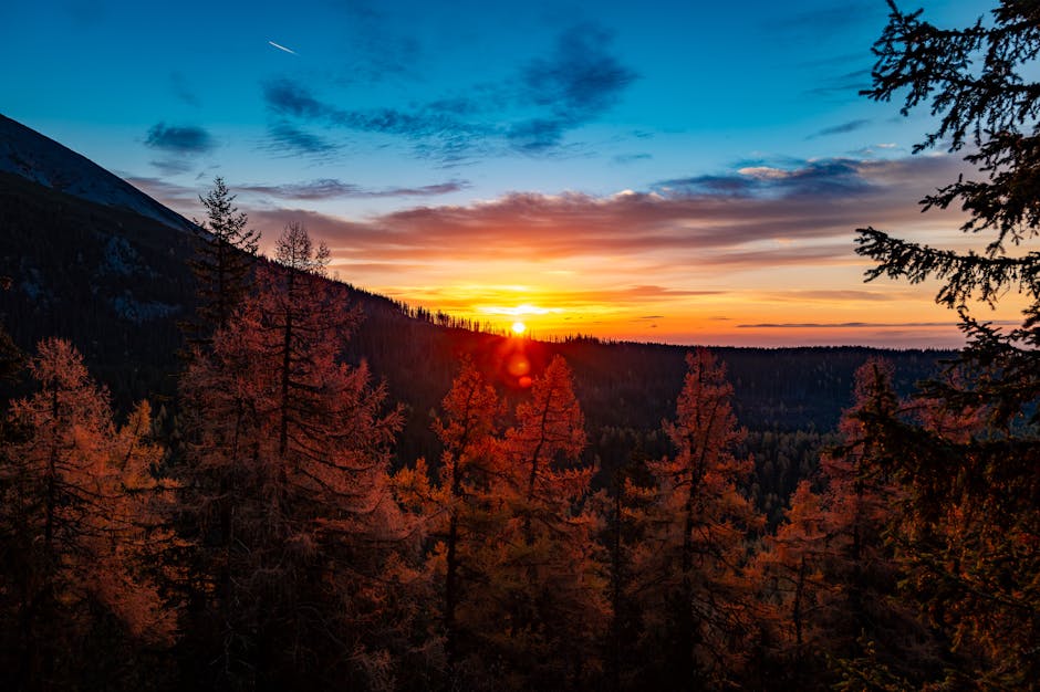 pexels-photo-29678804-29678804-2 Stunning sunrise view over autumn forest in Vysoké Tatry, Slovakia.